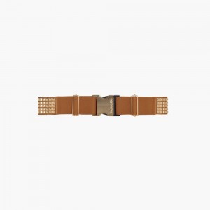 Brown Goldbergh STUD Belt | 02315-BASM