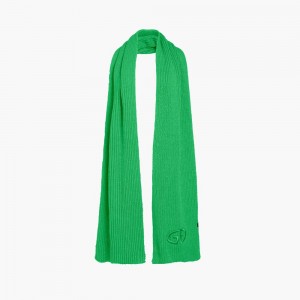 Green Goldbergh VALENTINA Scarf | 01832-SHJU