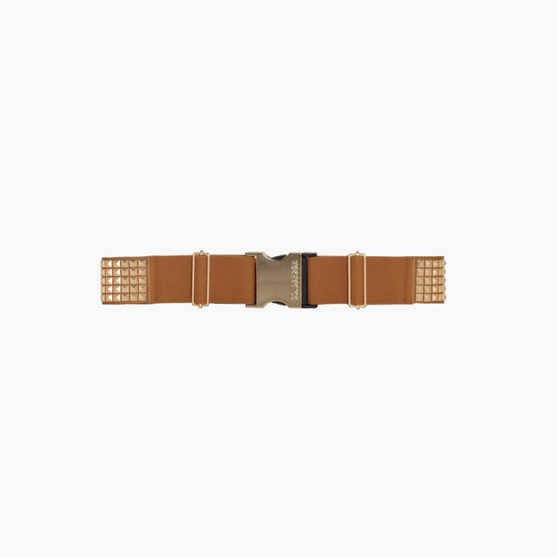 Brown Goldbergh STUD Belt | 02315-BASM